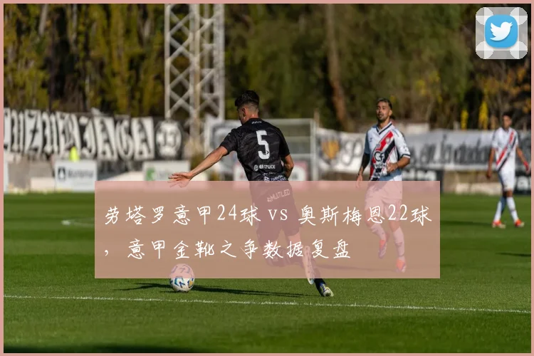 劳塔罗意甲24球 vs 奥斯梅恩22球，意甲金靴之争数据复盘